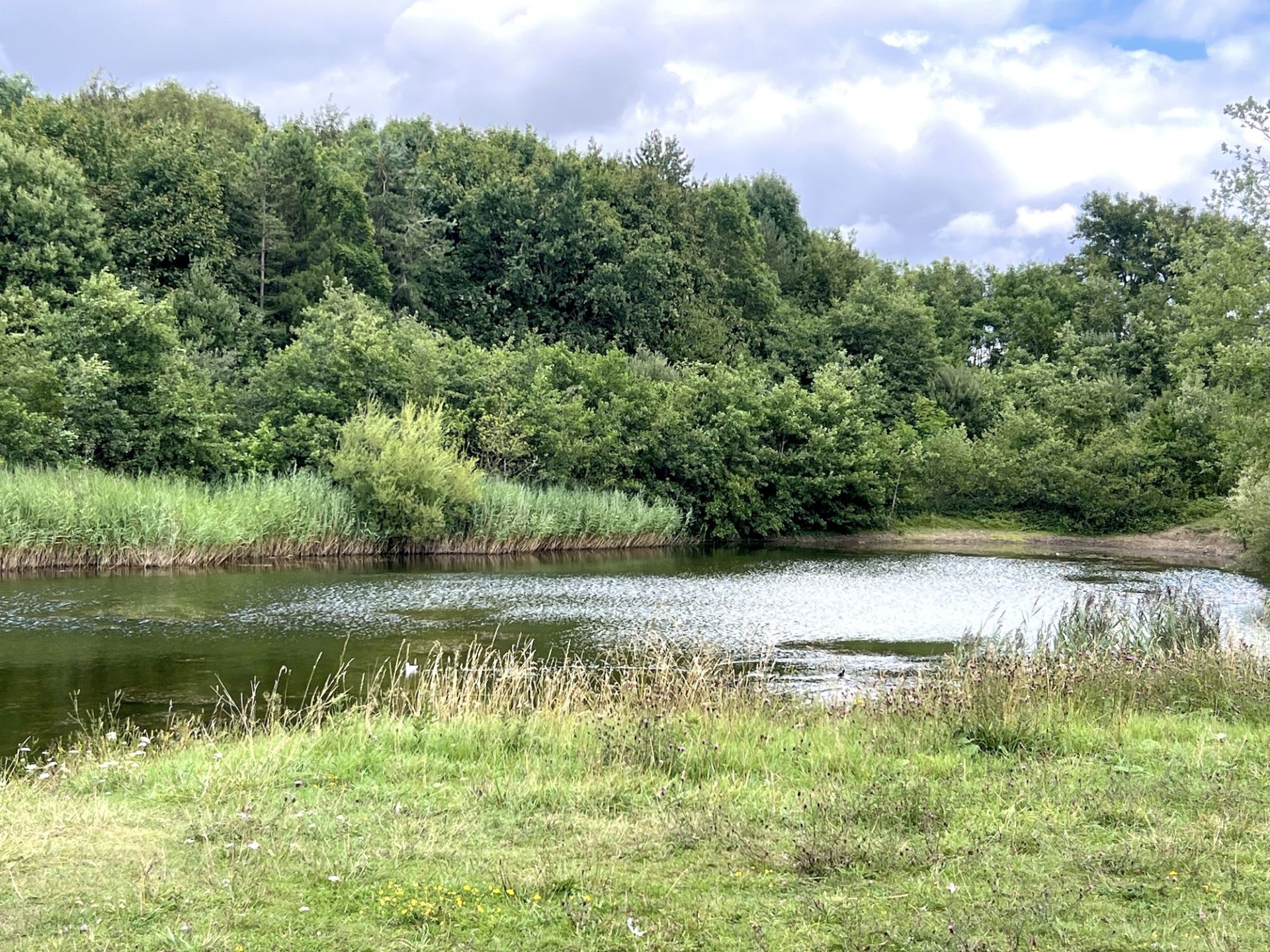 Silverhill4